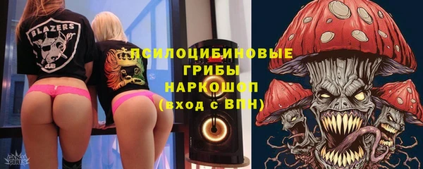 гашик Абинск