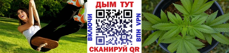 Каннабис OG Kush  Агидель 